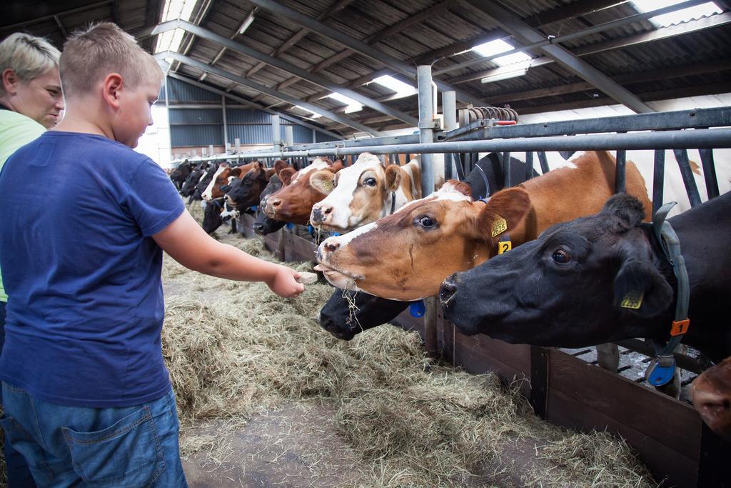 Farm Overleekerhoeve Monnickendam Exterior foto